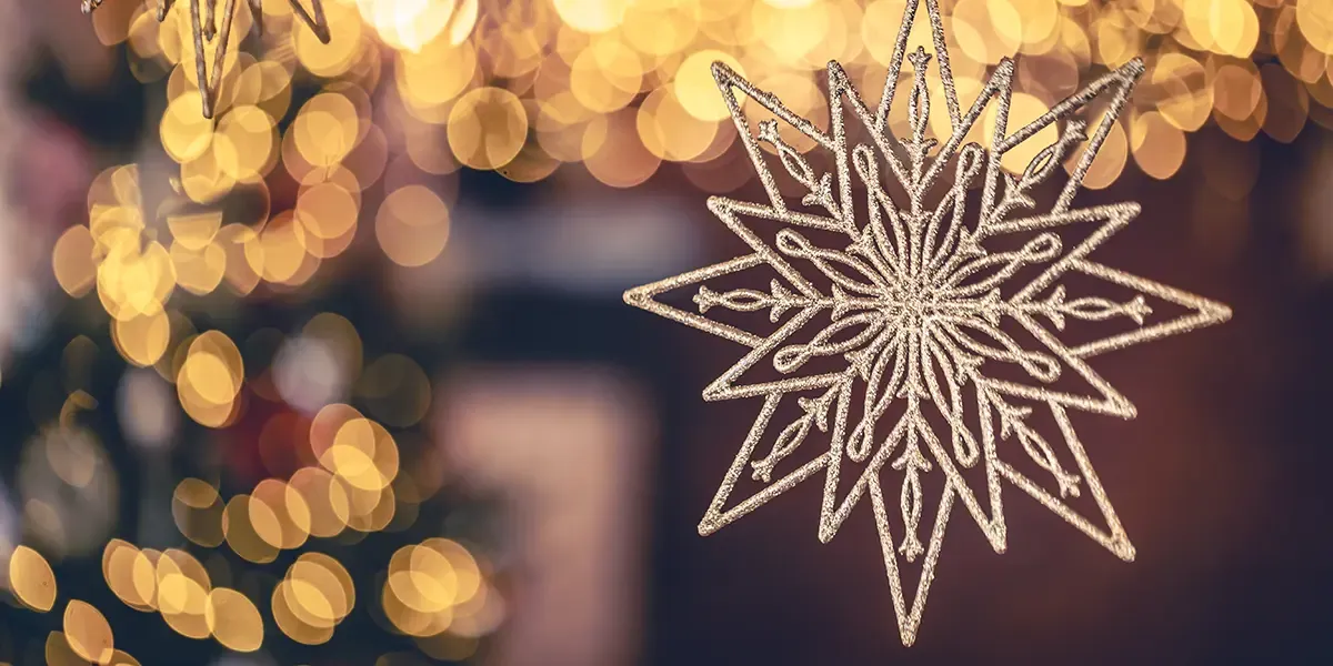 close up image of ornament with christmas lights in the background